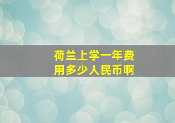 荷兰上学一年费用多少人民币啊