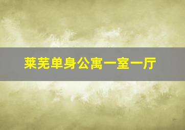 莱芜单身公寓一室一厅