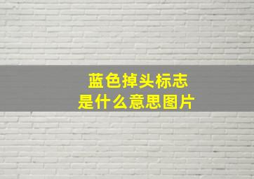 蓝色掉头标志是什么意思图片