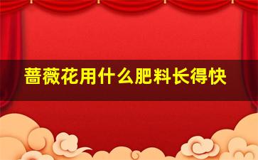 蔷薇花用什么肥料长得快