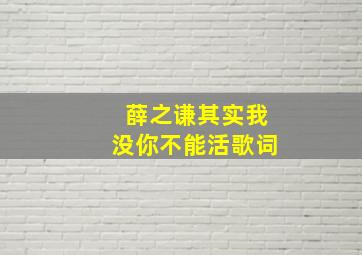 薛之谦其实我没你不能活歌词