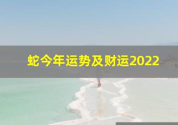 蛇今年运势及财运2022