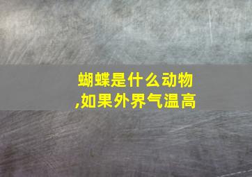 蝴蝶是什么动物,如果外界气温高