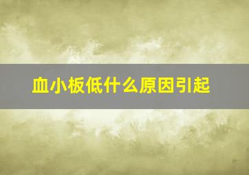 血小板低什么原因引起