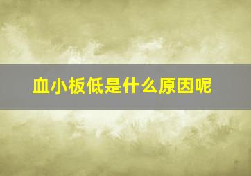 血小板低是什么原因呢