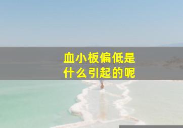 血小板偏低是什么引起的呢