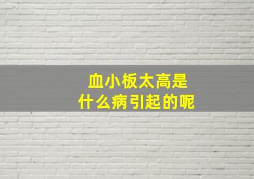 血小板太高是什么病引起的呢