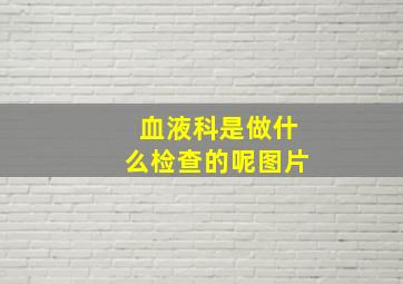 血液科是做什么检查的呢图片