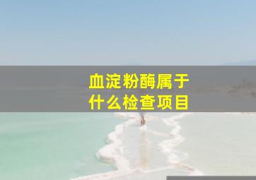 血淀粉酶属于什么检查项目