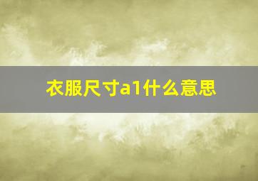 衣服尺寸a1什么意思