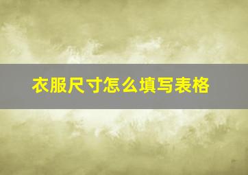 衣服尺寸怎么填写表格