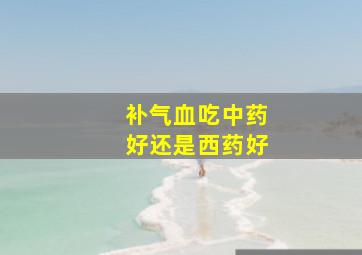 补气血吃中药好还是西药好