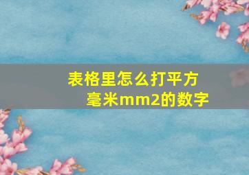 表格里怎么打平方毫米mm2的数字