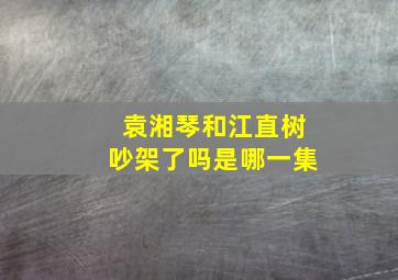 袁湘琴和江直树吵架了吗是哪一集