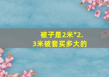 被子是2米*2.3米被套买多大的