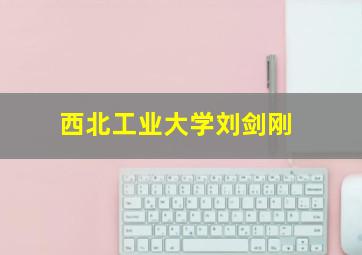 西北工业大学刘剑刚