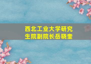 西北工业大学研究生院副院长岳晓奎