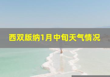 西双版纳1月中旬天气情况