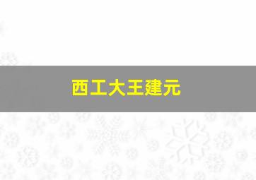 西工大王建元