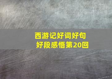 西游记好词好句好段感悟第20回