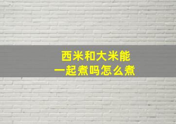 西米和大米能一起煮吗怎么煮