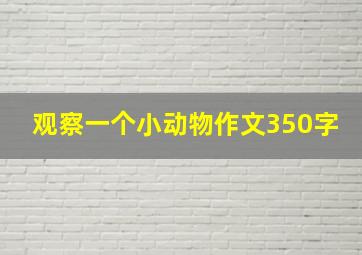 观察一个小动物作文350字