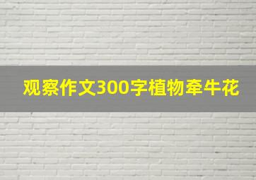 观察作文300字植物牵牛花