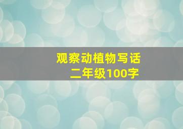 观察动植物写话二年级100字