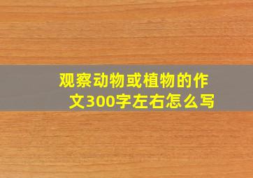 观察动物或植物的作文300字左右怎么写