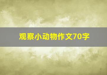 观察小动物作文70字