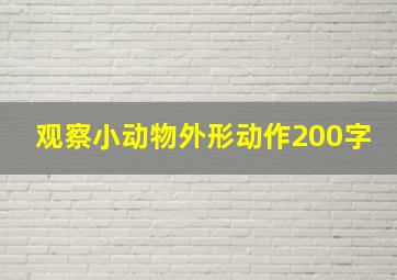 观察小动物外形动作200字