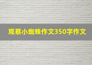 观察小蜘蛛作文350字作文