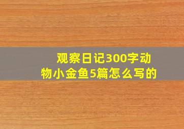 观察日记300字动物小金鱼5篇怎么写的