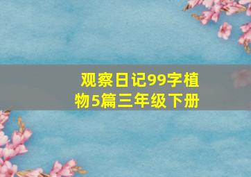 观察日记99字植物5篇三年级下册