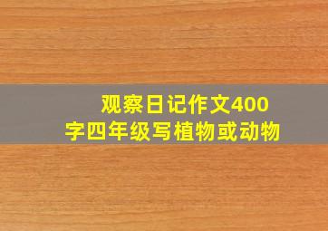 观察日记作文400字四年级写植物或动物