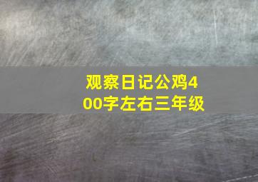 观察日记公鸡400字左右三年级