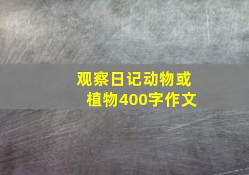 观察日记动物或植物400字作文