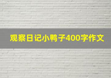 观察日记小鸭子400字作文