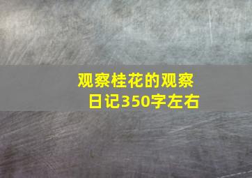 观察桂花的观察日记350字左右