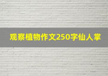 观察植物作文250字仙人掌