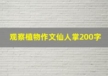 观察植物作文仙人掌200字