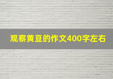 观察黄豆的作文400字左右