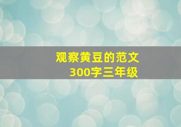 观察黄豆的范文300字三年级