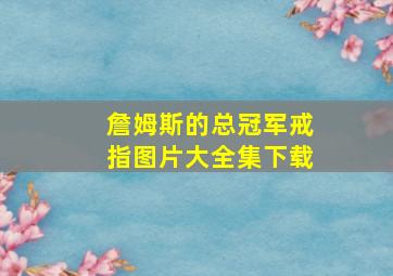 詹姆斯的总冠军戒指图片大全集下载