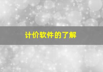 计价软件的了解