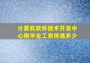 计算机软件技术开发中心刚毕业工资待遇多少