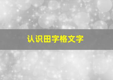 认识田字格文字