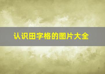 认识田字格的图片大全