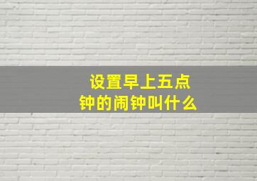 设置早上五点钟的闹钟叫什么