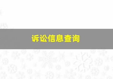 诉讼信息查询